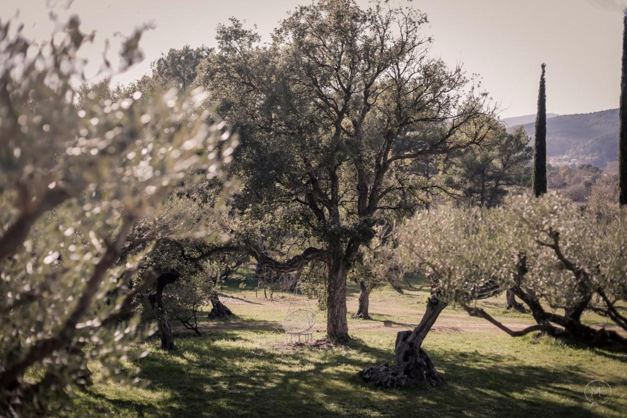 Les Hauts De Diane, Cuers Var Экстерьер фото