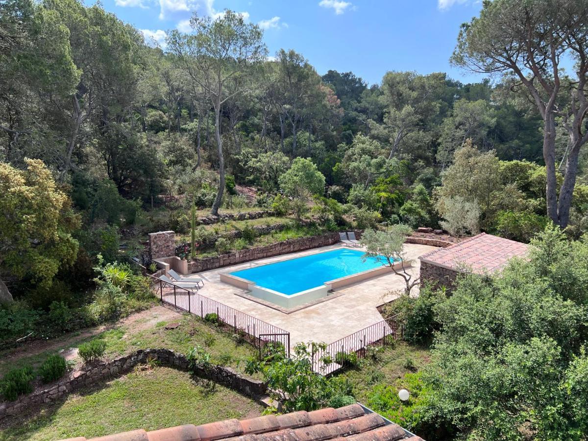 Les Hauts De Diane, Cuers Var Экстерьер фото